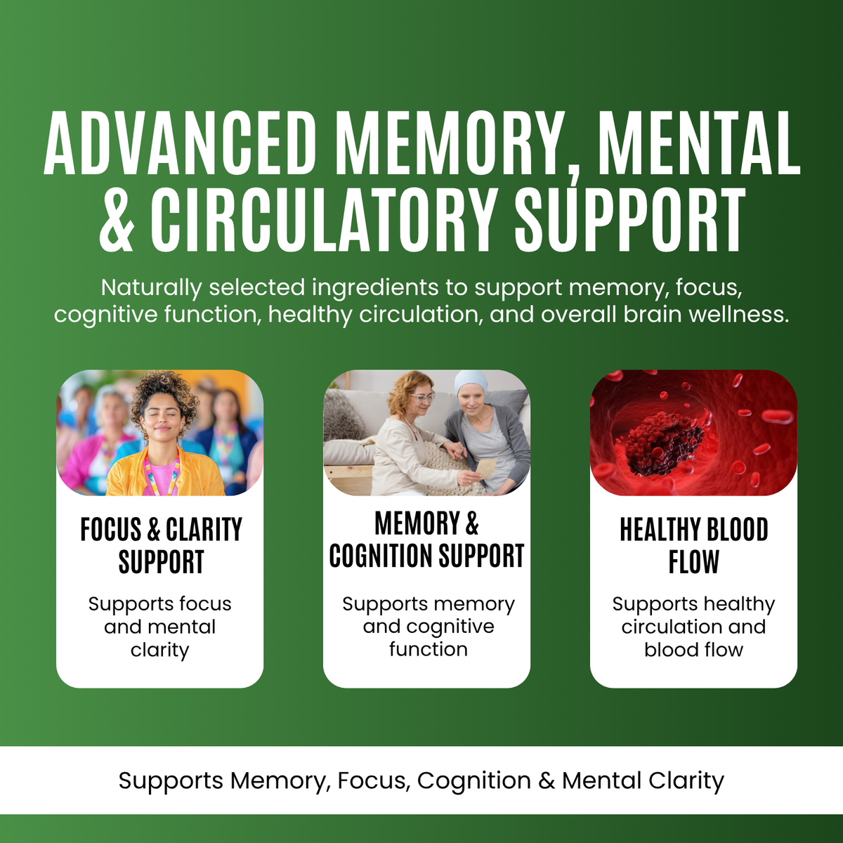 Ginkgo Biloba - 500 mg