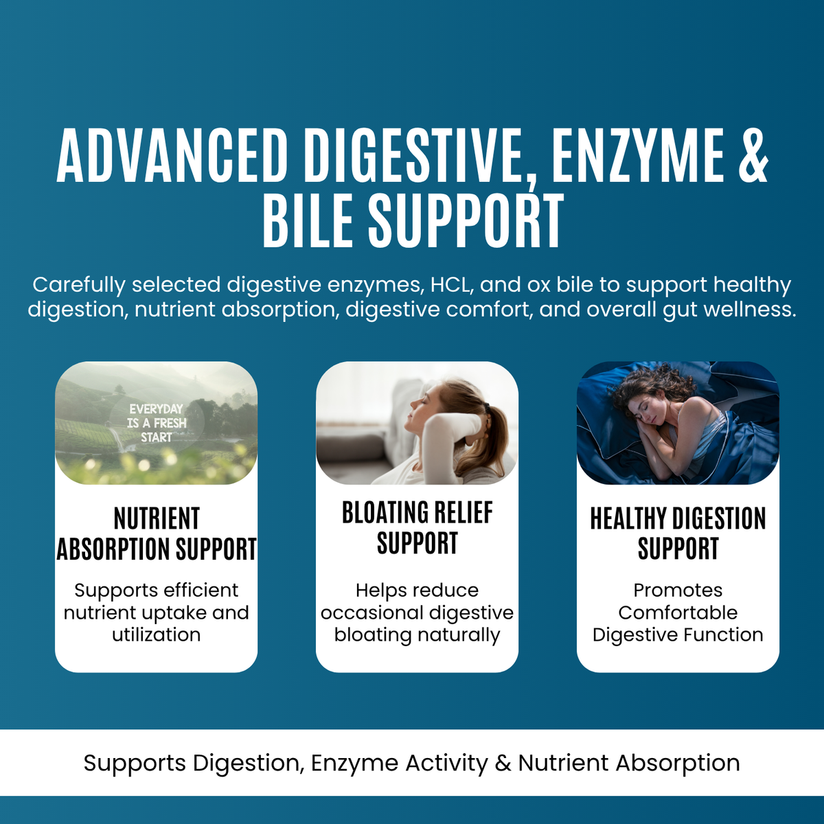 Digestive Enzymes with HCl & Ox Bile | Gut & Digestion Support
