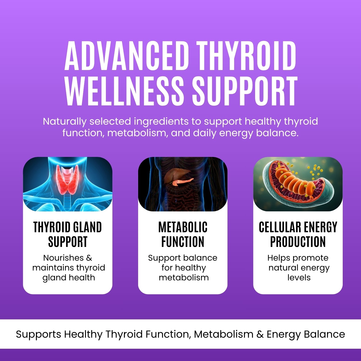 Thyroid Support - 500 mg
