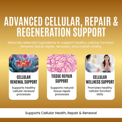 STEM Cells